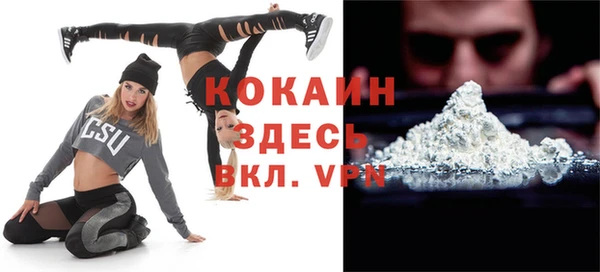 дмт Дмитровск