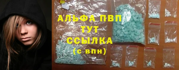 дмт Дмитровск